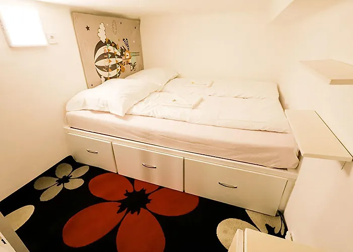 Séjour chez l'habitant Centre Flat *