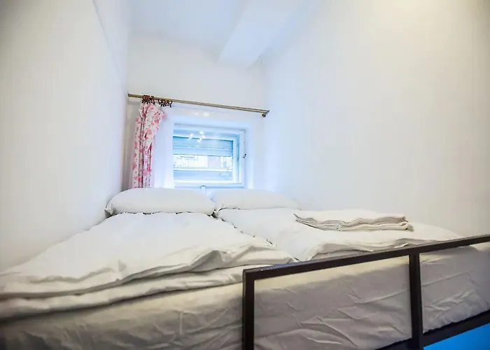 Séjour chez l'habitant Centre Flat